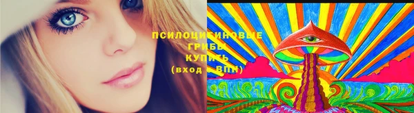 дурь Кукмор