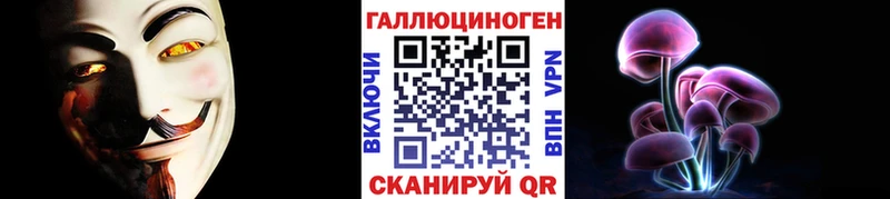 Купить закладки  Невель  Псилоцибиновые грибы Psilocybe 